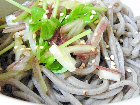 ミョウガと豆苗で　蕎麦サラダ